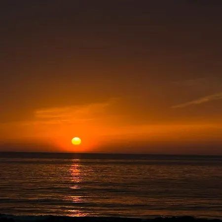 Orange Tree Studio, Just Steps From The Sea *